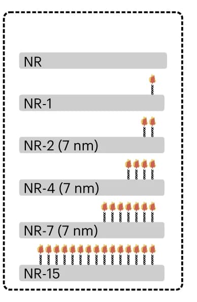 Open access visualization of Illustration, NanoRods, Schematic