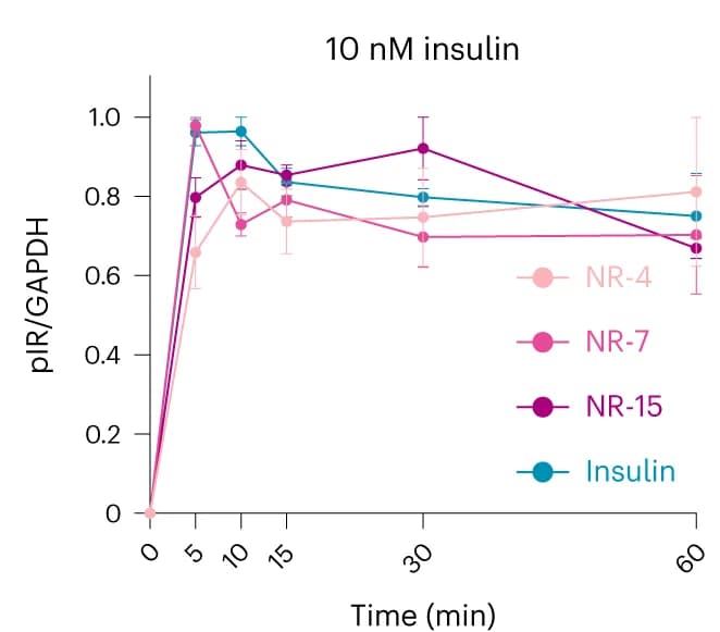 Open access visualization of Line Plot, Error Bars, Phosphorylated IR, Adipocytes, Insulin