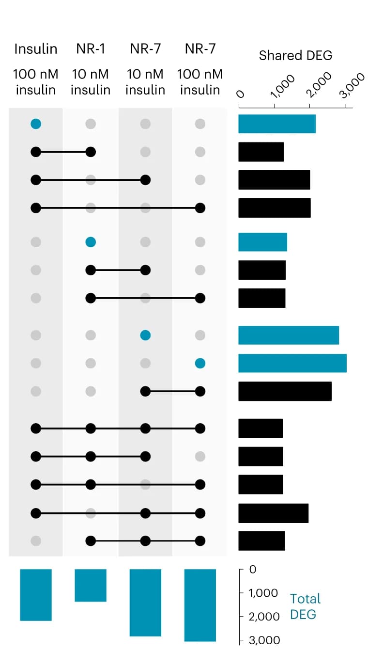 Open access visualization of Bar Plot, Line Plot, UpSet Plot, DEG
