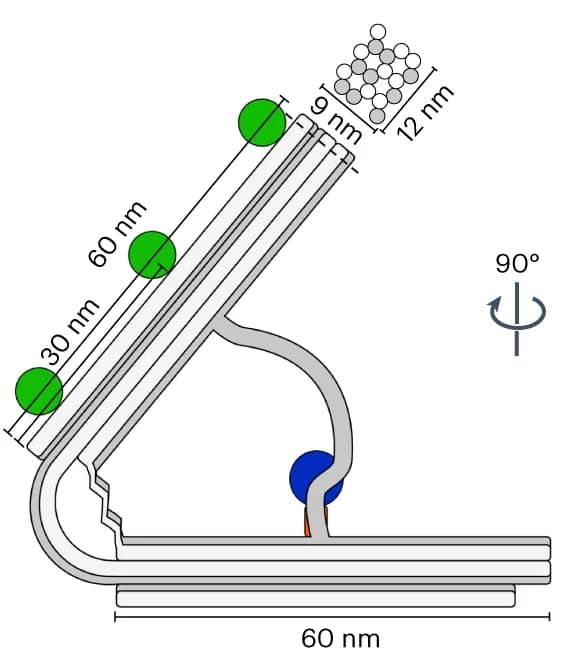 Open access visualization of Illustration, Leaf-spring nanoengine, Origami arms, Streptavidin, T7RNAP