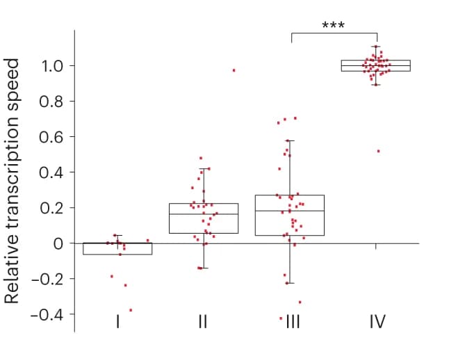 Open access visualization of Box Plot, Scatter Plot, Transcriptional rate, Fluorescence, RNA