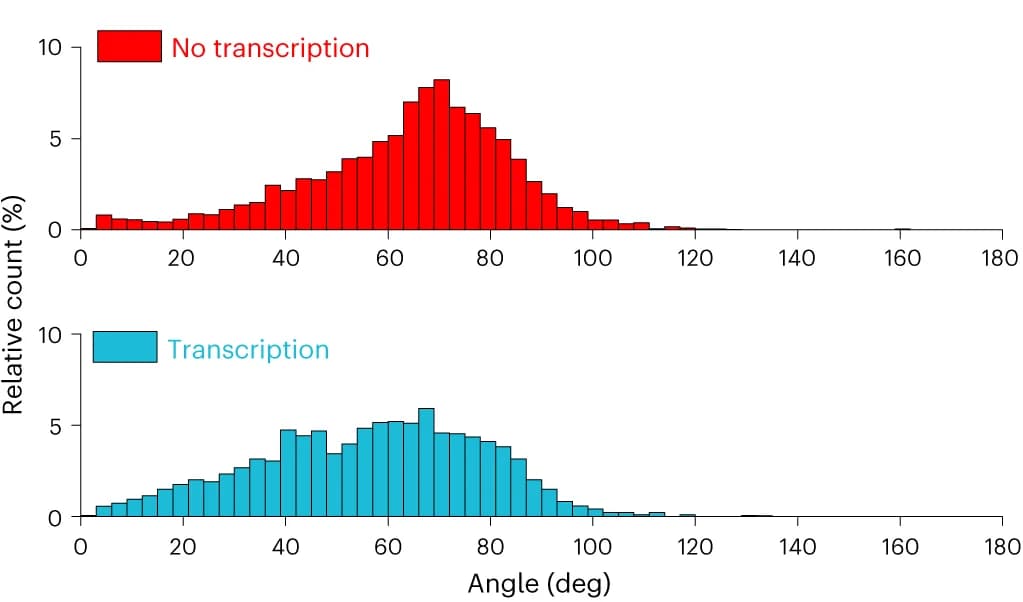 Open access visualization of Histogram, Angle Distribution, Transcription, Micrographs, TEM grids