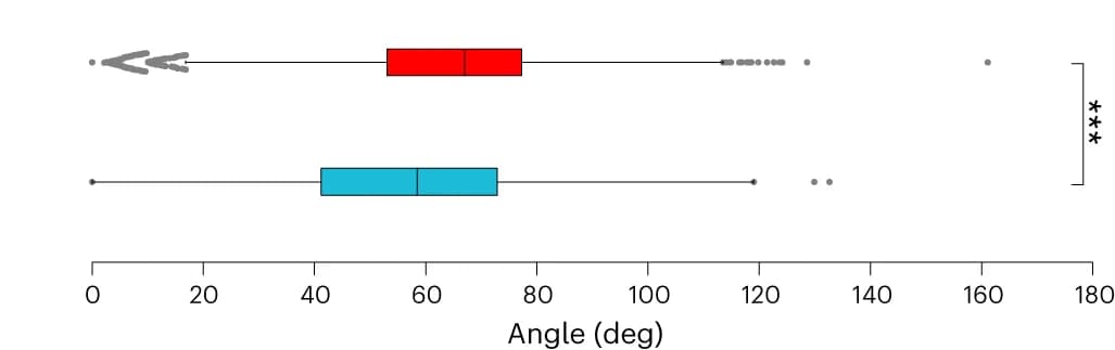 Open access visualization of Box Plot, Scatter Plot, Box-plot, Angle Distributions, Transcription
