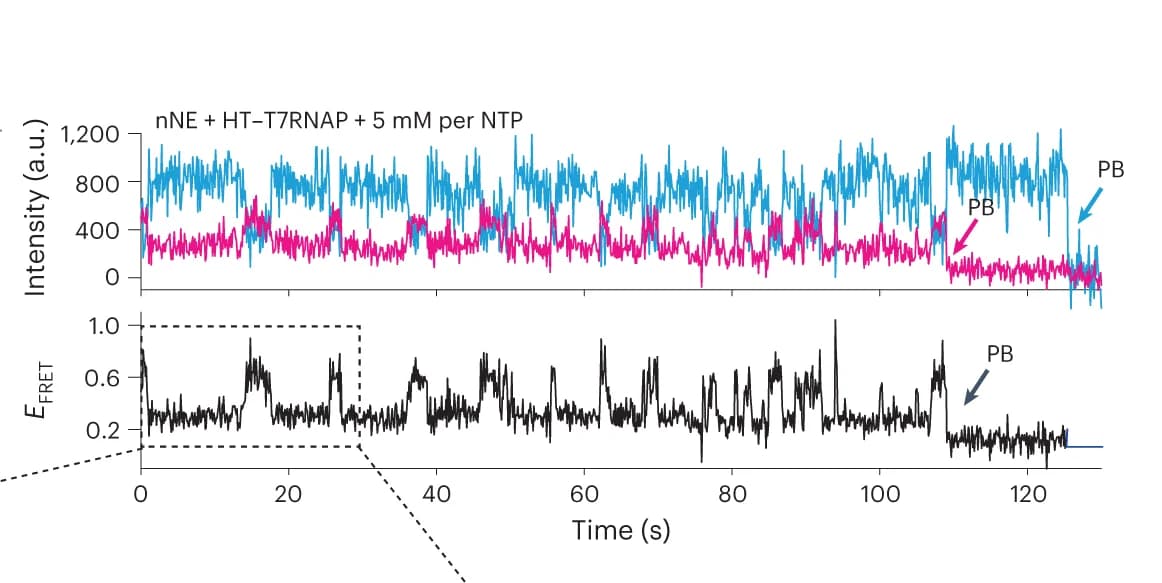 Open access visualization of Line Plot, Fluorescence Time Trajectory, nNE, NTPs, Cy3