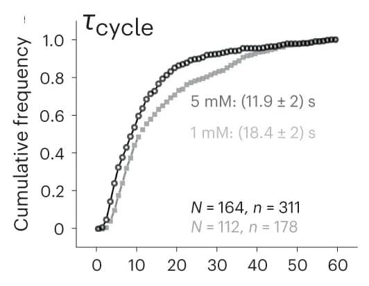 Open access visualization of Line Plot, Line Step, Cumulative Distributions, NTPs, Double-Exponential Functions