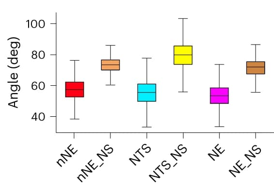 Open access visualization of Box Plot, Equilibrium Angle Distribution, oxDNA Simulation, Base Pairing, Single-Stranded Regions