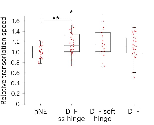 Open access visualization of Box Plot, Scatter Plot, Transcription Speed, D-F complexes, D alone