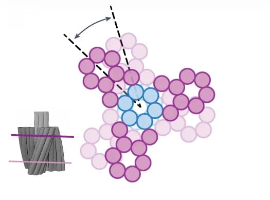 Open access visualization of Illustration, Chemical Structure, DNA Turbine, Cross-sections, Twist