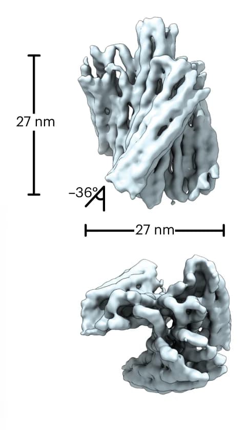 Open access visualization of Protein Structure, 3D Electron Density Map, Right-handed DNA Turbine, Cryo-EM