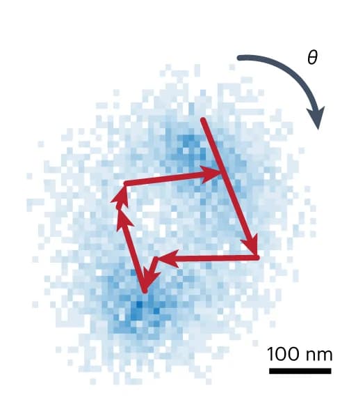 Open access visualization of Scatter Plot, Heatmap, Fluorophores, DNA Bundle, Single-particle Localizations
