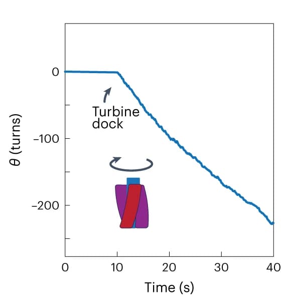 Open access visualization of Line Plot, Cumulative Angle, Time, Right-handed Turbine, NaCl Concentration