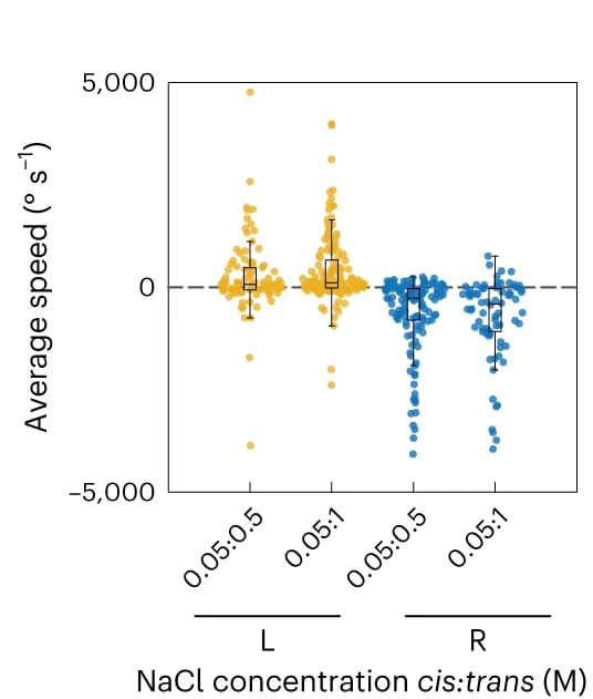 Open access visualization of Violin Plot, Box Plot, Scatter Plot, Average Rotation Speed, Left-handed Turbine
