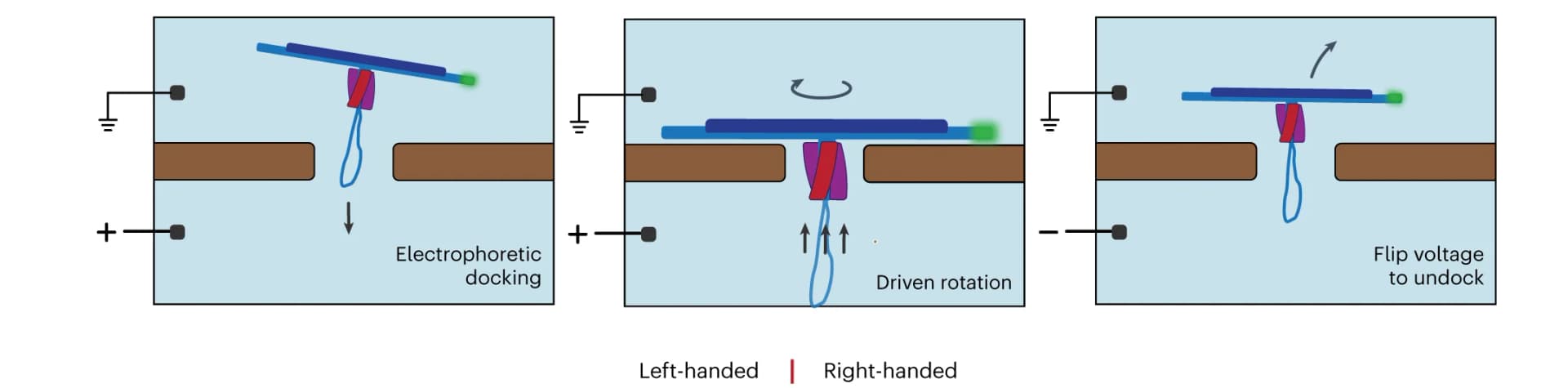 Open access visualization of Workflow, Illustration, DNA Turbine, Nanopore, Transmembrane Voltage