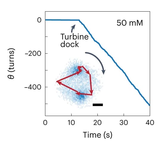 Open access visualization of Line Plot, Scatter Plot, Cumulative Angle, Right-Handed Turbine, Bias Voltage