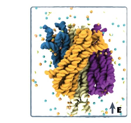 Open access visualization of Protein Structure, Chemical Structure, DNA Origami, Molecular Surface, Solvent