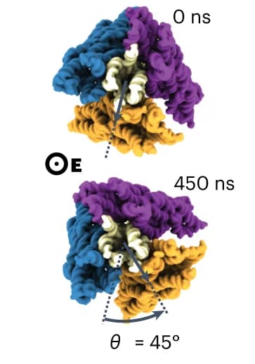 Open access visualization of Protein Structure, Turbine Rotation, Electric Field, Molecular Dynamics, Sodium Chloride Concentration