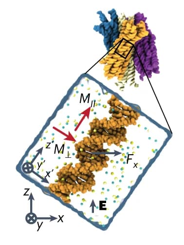 Open access visualization of Protein Structure, Chemical Structure, DNA Helix, Turbine Blade, Electric Field