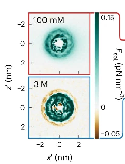 Open access visualization of Heatmap, Solvent Forces, Electric Field, Molecular Dynamics
