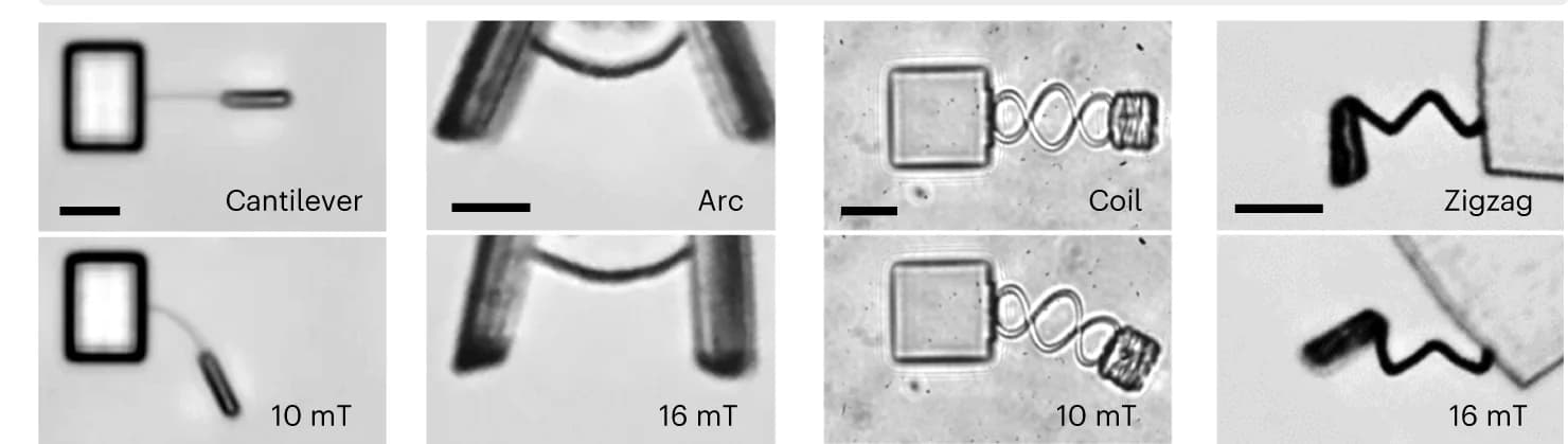 Open access visualization of Microscopy, Fabricated Picosprings, Deformation, Magnetic Loads