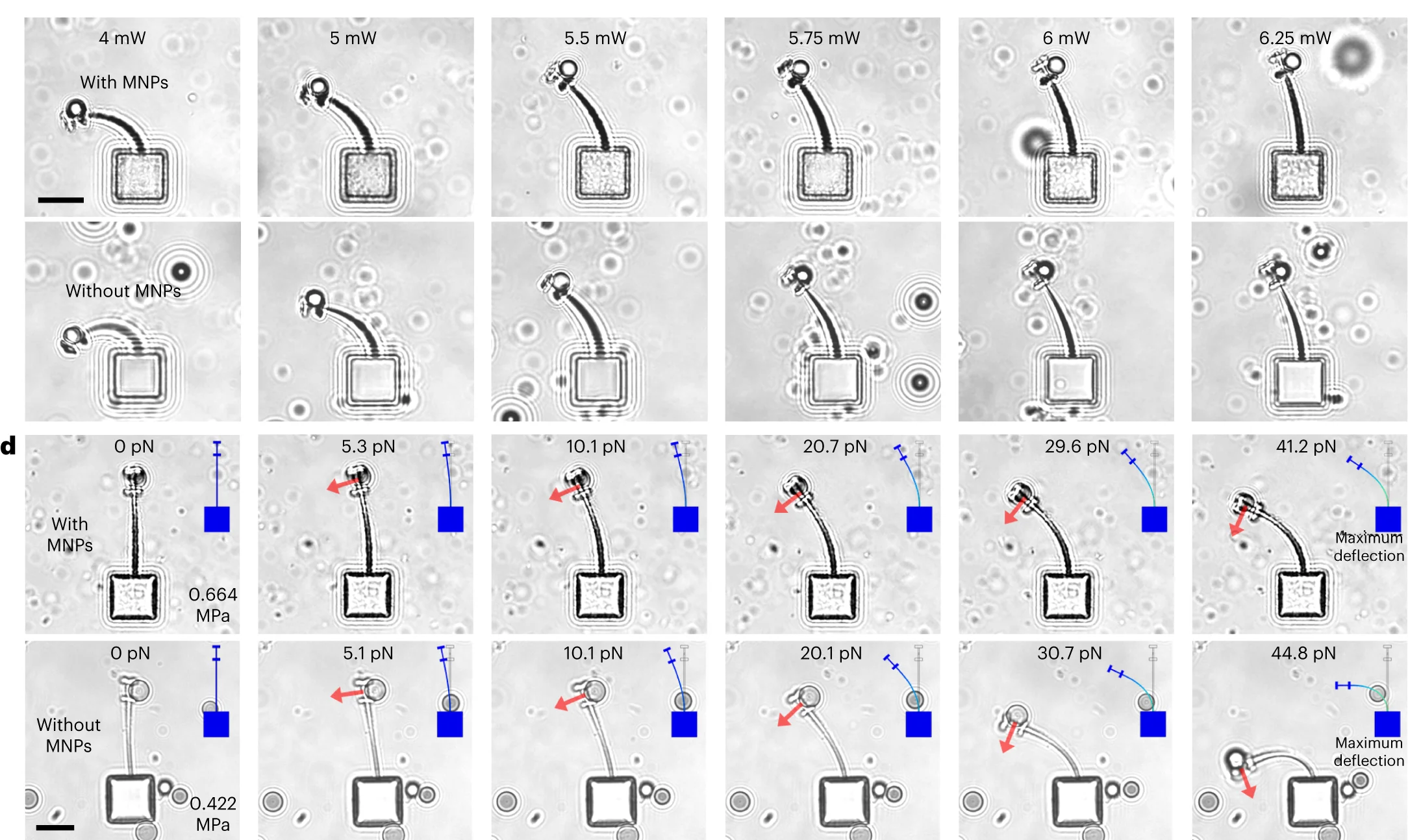 Open access visualization of Microscopy, Photo, Cantilever Picospring, Deformation, Laser Power