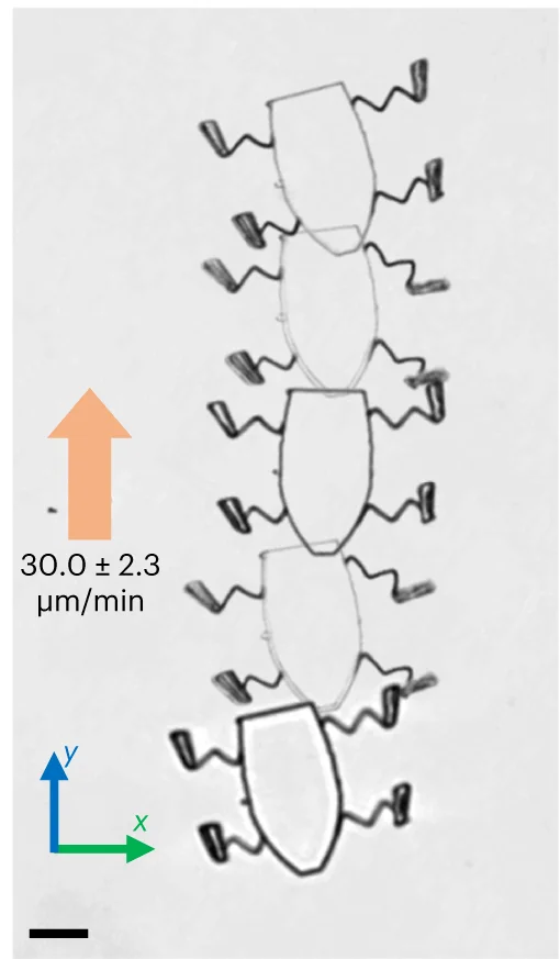 Open access visualization of Microscopy, Microturtle, Locomotion, Magnetic Actuation Field