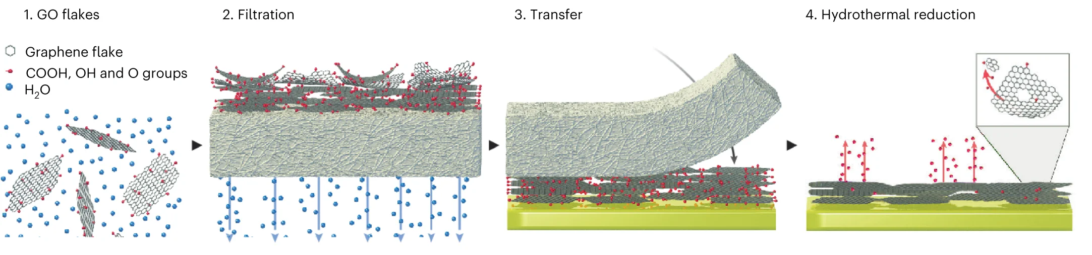 Open access visualization of Workflow, Illustration, GO, EGNITE, Porous membrane