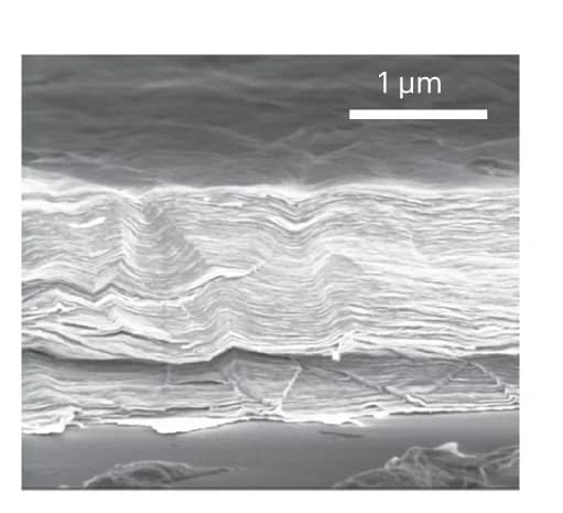 Open access visualization of Microscopy, SEM, Micrograph, Cross section, Material