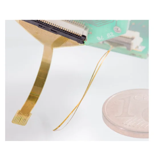 Open access visualization of Photo, Flexible Implants, EGNITE, Photograph