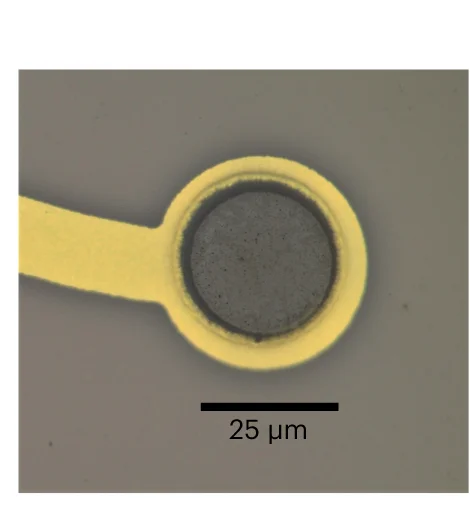 Open access visualization of Microscopy, Micrograph, EGNITE, Microelectrode