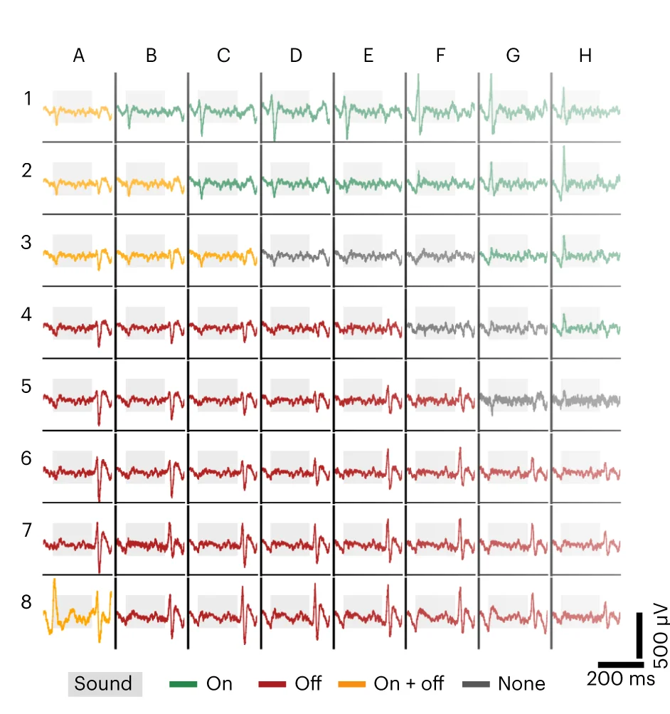 Open access visualization of Line Plot, Evoked Neural Activity, 16 kHz Stimuli, EGNITE Microelectrodes, Onset Responses