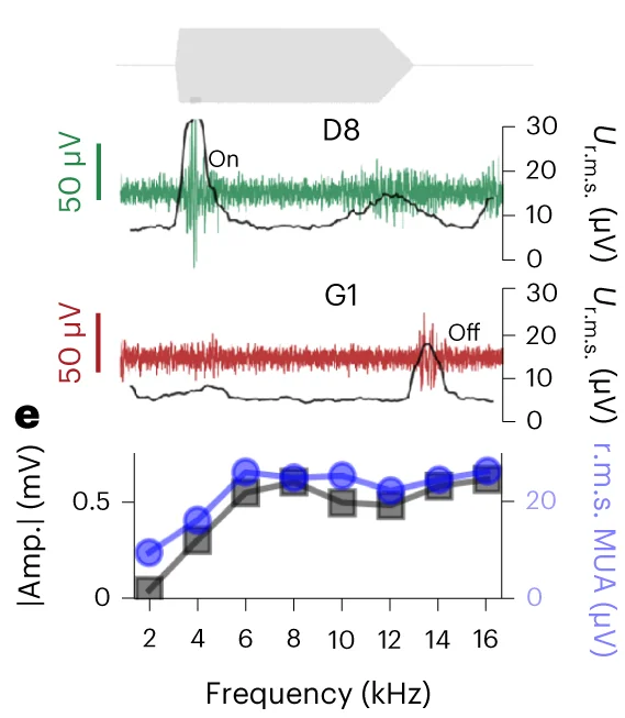 Open access visualization of Line Plot, Onset Responses, Offset Responses, High-Frequency MUA Activity, r.m.s. Value