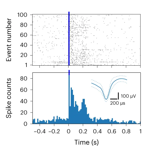 Open access visualization of Bar Plot, Scatter Plot, Line Plot, Error Bars, Postimplantation