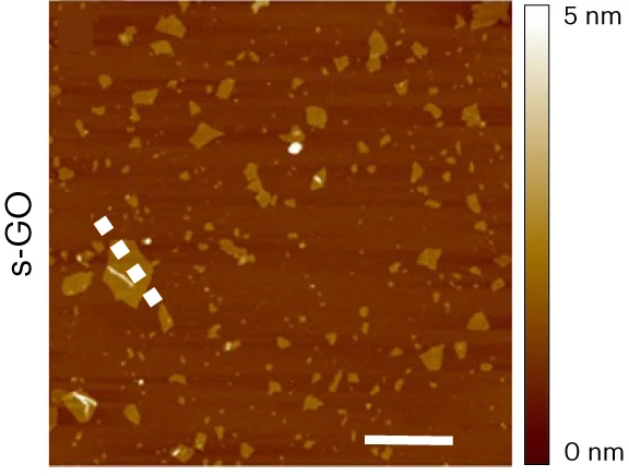 Open access visualization of Microscopy, Atomic Force Microscopy, Height Image, Cross-Section Analysis, s-GO