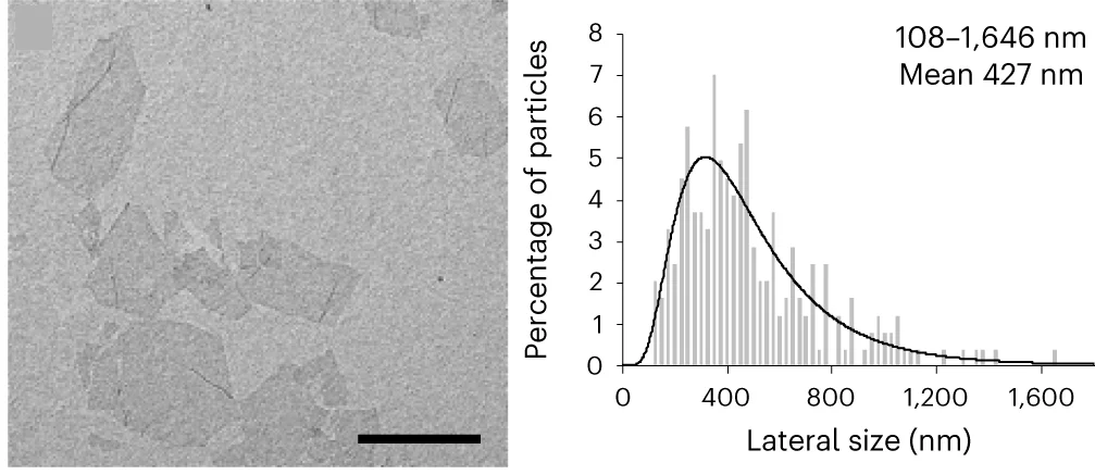 Open access visualization of Histogram, Microscopy, Line Plot, Transmission Electron Microscopy, Micrographs