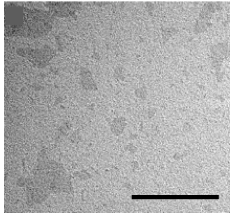 Open access visualization of Microscopy, Transmission Electron Microscopy, Micrographs, Size Distribution Analysis, us-GO