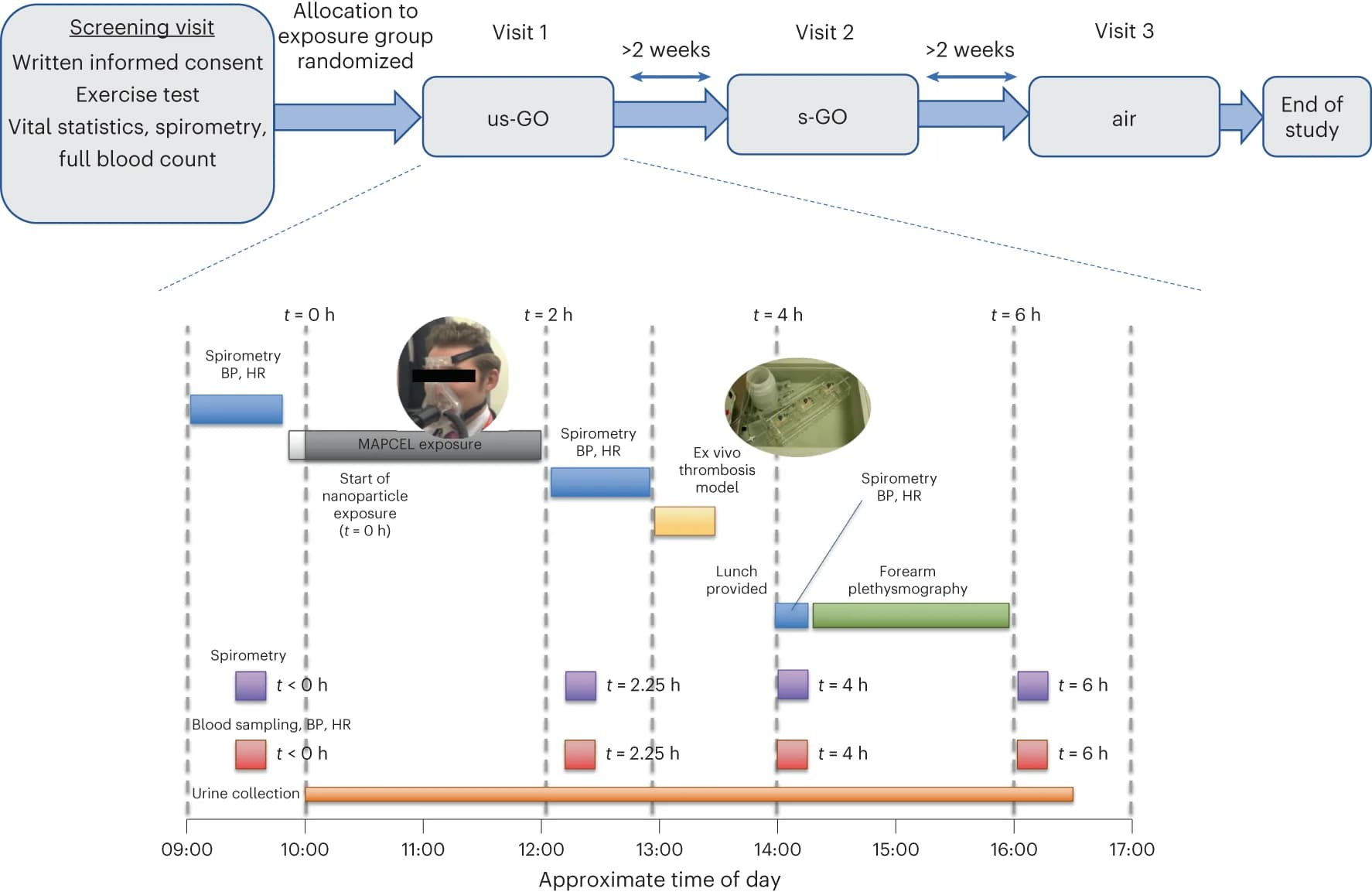 Open access visualization of Workflow, Randomized Study, Study Visits, Study Day Schedule, Face Mask