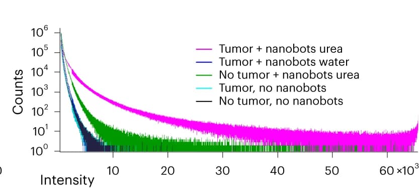 Open access visualization of Line Plot, Density Plot, Voxel Intensity Histograms, Masked sLS Volumes, Logarithmic Axes