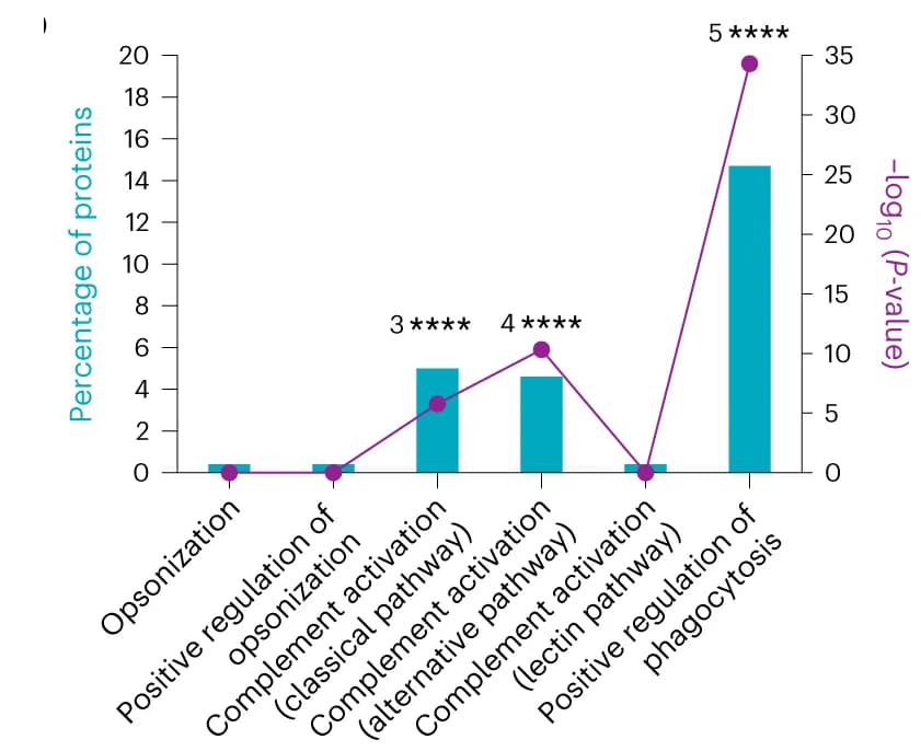 Open access visualization of Bar Plot, Line Plot, Protein Corona, EVs, UniProt Bovine Database