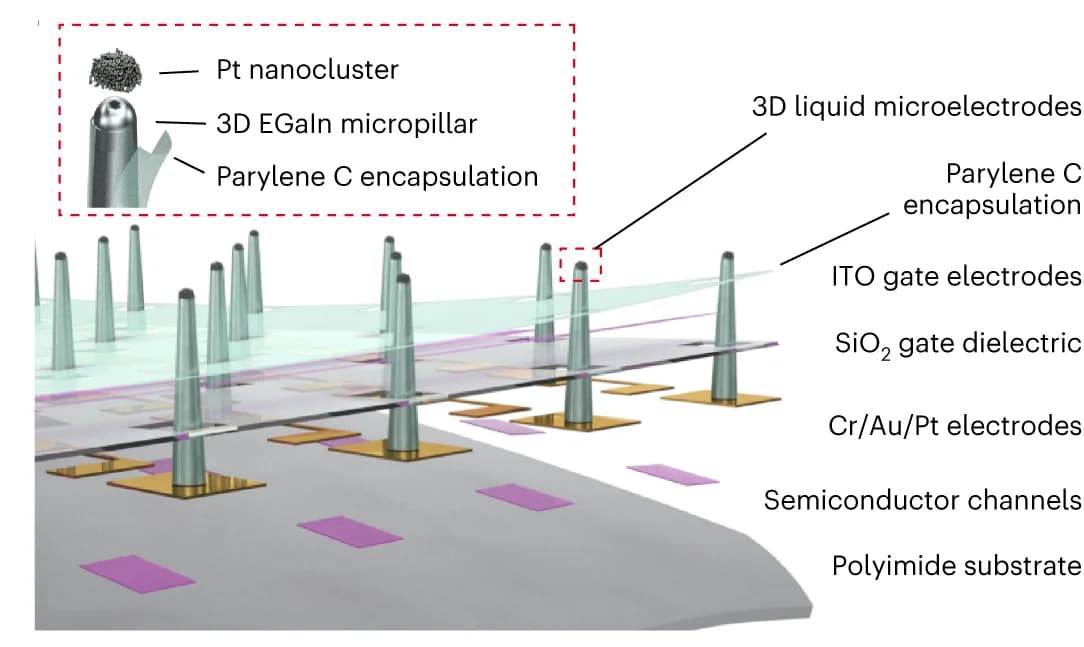 Open access visualization of 3D Plot, Chemical Structure, Artificial Retina, Photosensitive Transistors, Microelectrodes