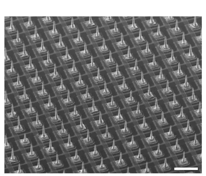 Open access visualization of Microscopy, Scanning Electron Microscopy, Phototransistor Arrays, Microelectrodes, Parylene C