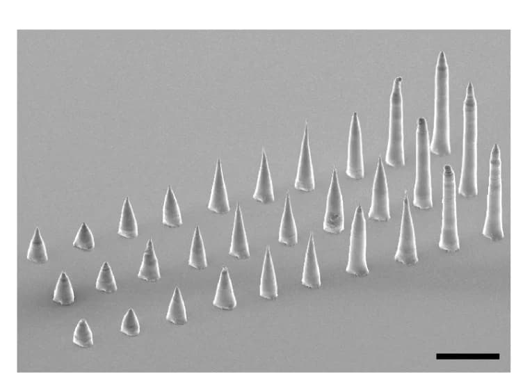 Open access visualization of Microscopy, SEM Image, EGaIn Pillar Array, Deposition