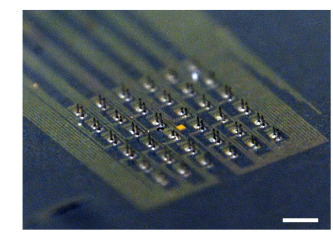 Open access visualization of Microscopy, Stereomicrograph, Microelectrode, Device