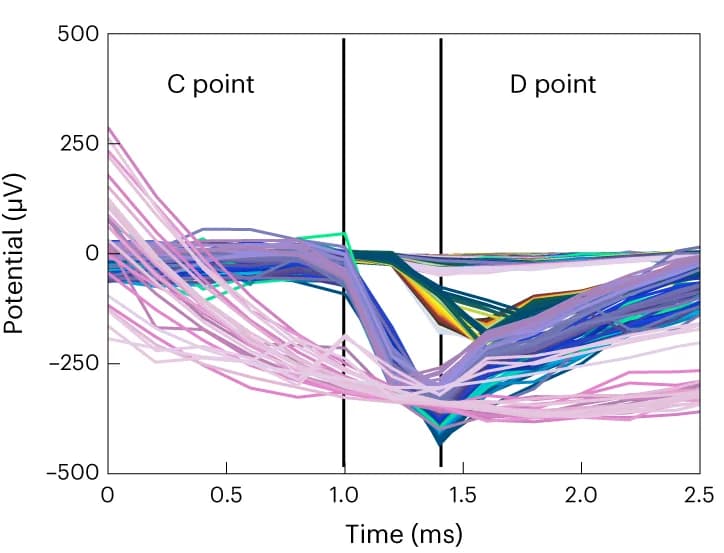 Open access visualization of Line Plot, Evoked RGC Spikes, Hierarchical Clustering