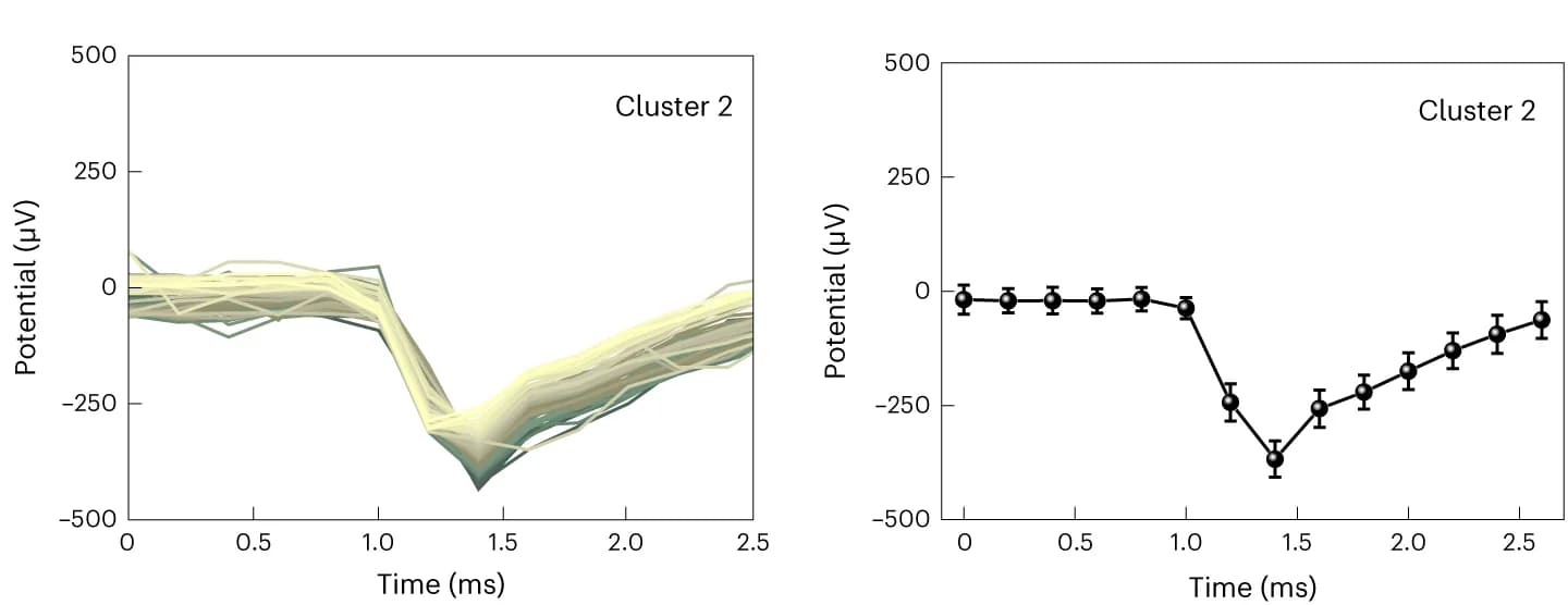Open access visualization of Line Plot, Error Bars, Evoked RGC Spikes, Cluster 2, Mice