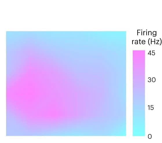 Open access visualization of Heatmap, Contour Plot, Firing Rates, RGC Spikes, Patterned Laser