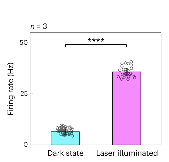 Open access visualization of Bar Plot, Error Bars, Scatter Plot, Firing Rates, Pixels