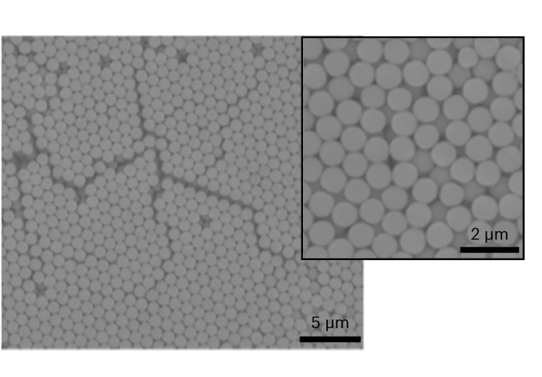Open access visualization of Microscopy, SEM Images, smSiP, Magnification