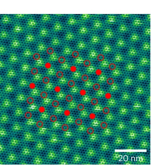Open access visualization of Microscopy, STM Topography Image, Graphene Sensing Layer, t-WS2 moire superlattice