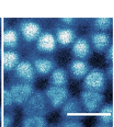 Open access visualization of Microscopy, dI/dV Maps, Hole Charging Peak, moire Site
