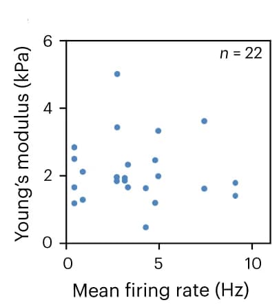 Open access visualization of Scatter Plot, Firing Rate, Young's Modulus, Neuron, Neurites